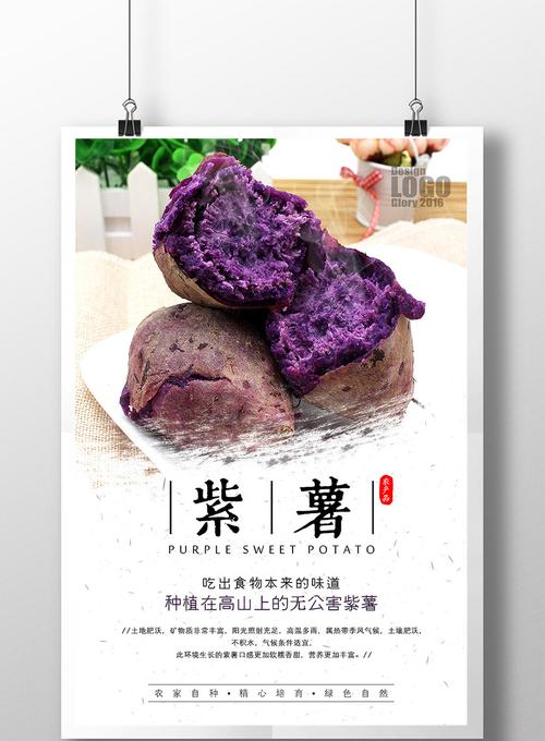 简约美味紫薯农产品海报模板免费下载 _广告设计图片设计素材_【包